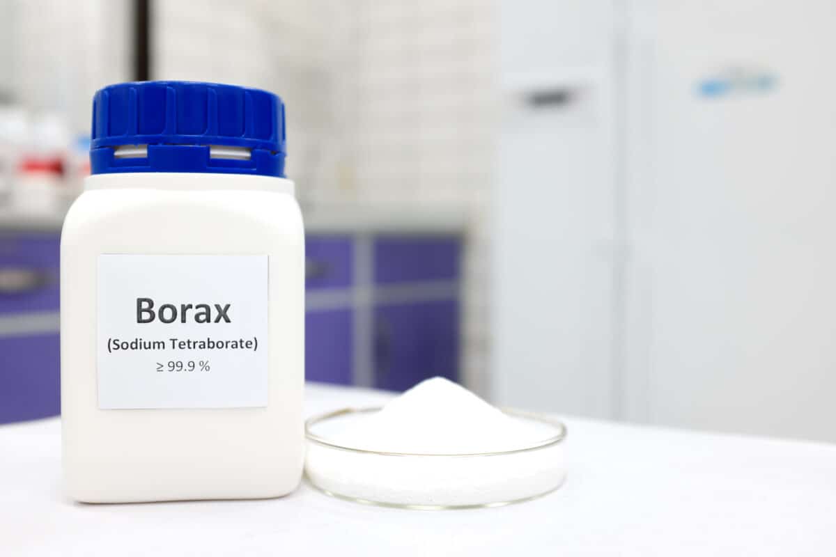 Selective focus of a bottle of borax chemical compound or sodium tetraborate beside a petri dish with solid powder substance. White Chemistry laboratory background with copy space.