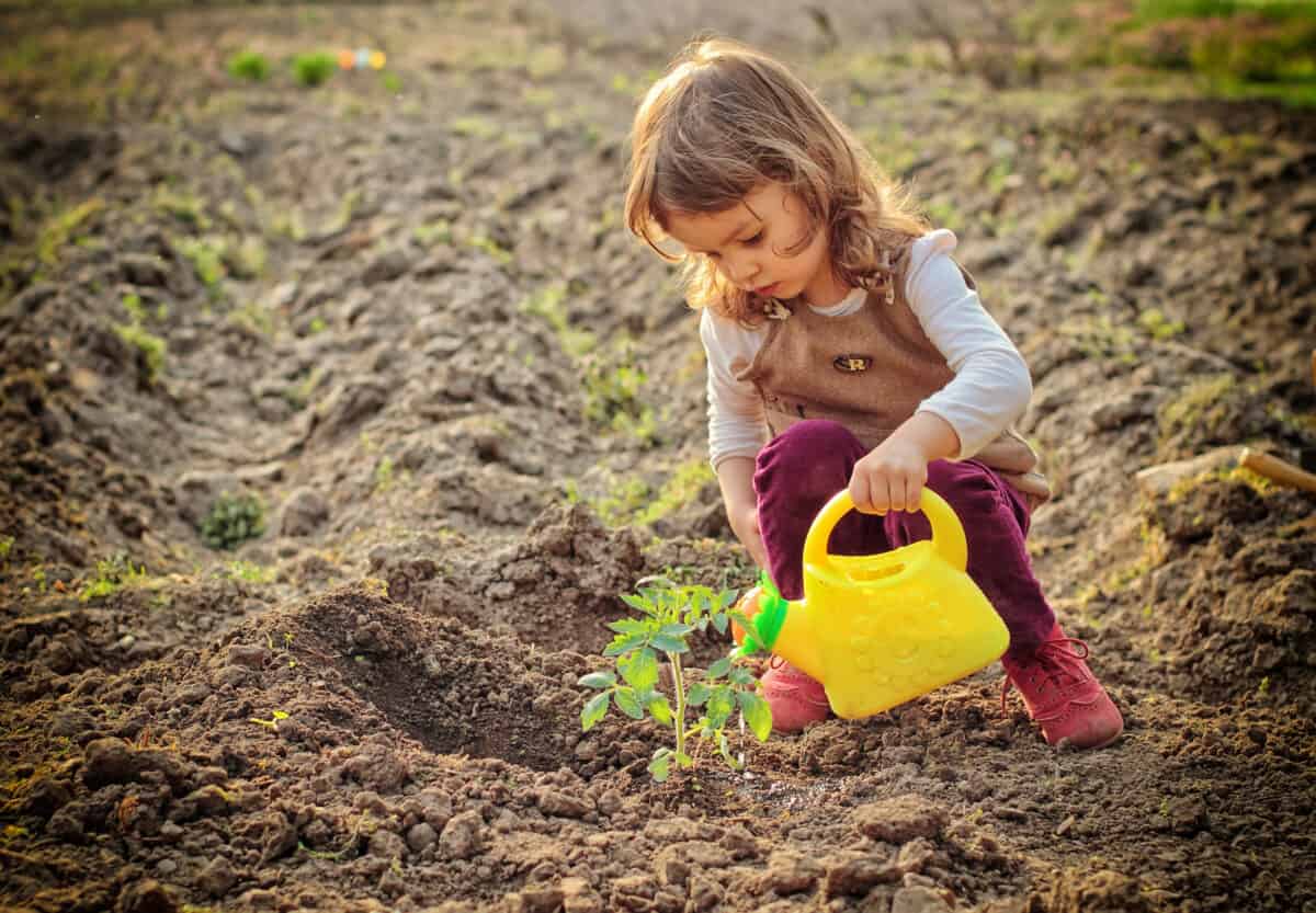 Little girl watering plants in a garden