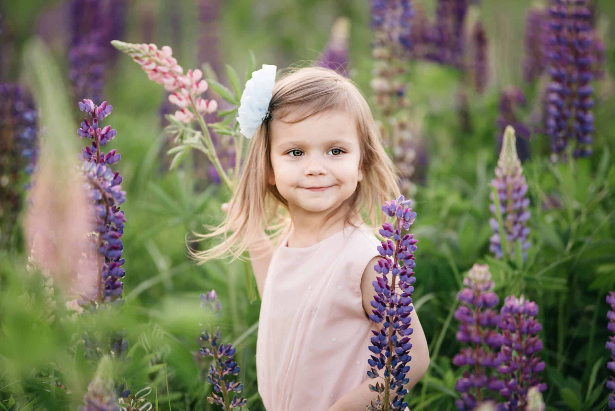 portrait of cute little happy two year old kid girl with bloom flowers lupines in field of purple flowers. nature outdoor. Child in nature concept. Provence. Childhood. Summer vacation holidays