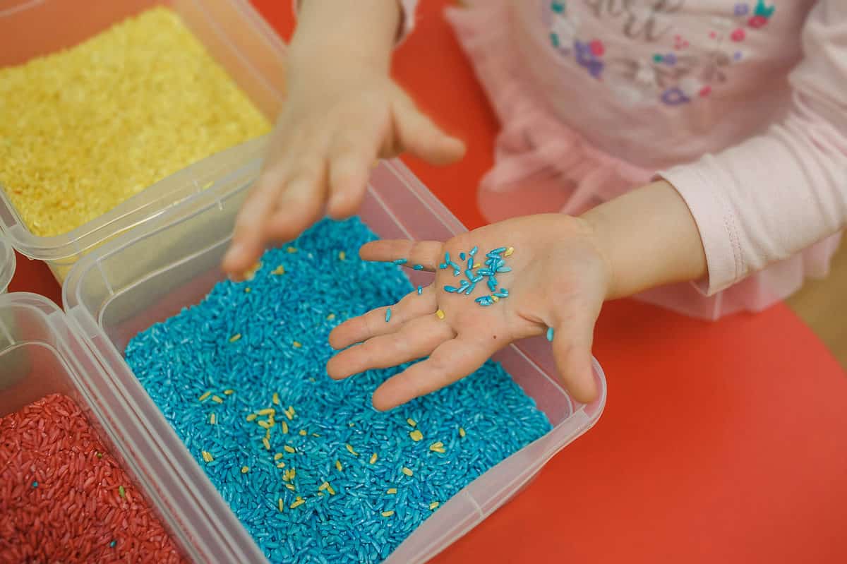 A photograph that shows three plastic bins of rice. In the lower Left corner of the photograph is a partial bin of red rice. Situated just above that bin in the photograph is a bin of blue rice. Directly to the left and above the blue rice in the frame is a tub of yellow rice. There is also one more tub of rice but only the corner of the tub is visible in the photograph. In the right upper frame is the torso of a child wearing a pink long sleeve shirt with an indiscriminate illustration on it. Her hands are visible in the center frame with blue rice on her left hand. Her right hand appears to be brushing The rice off her hand. The bins of rice are on a red table which makes up the majority of the background.