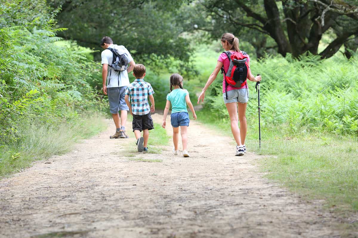 Photograph of a family on a hike. The family is facing away from the camera. Only their backs are visible.The family is light to olive skinned. They are walking on a dirt path. The path is surrounded by greenery. From left to right: a man wearing Knee length light blue shorts and a short sleeve white T-shirt has a knapsack on his back. He has short dark hair next but a little behind him is a little boy who is wearing black kneelength shorts and a black white and aqua plaid short sleeve shirt. Next to him is a little girl in short denim shorts and a jade green short sleeve T-shirt. She has long dark hair that is in braids. Next to her is a tall is woman who is wearing short faded blue denim shorts and a red short sleeve T-shirt. She also has a knapsack on her back. And is holding a aluminum walking pole in her right hand.