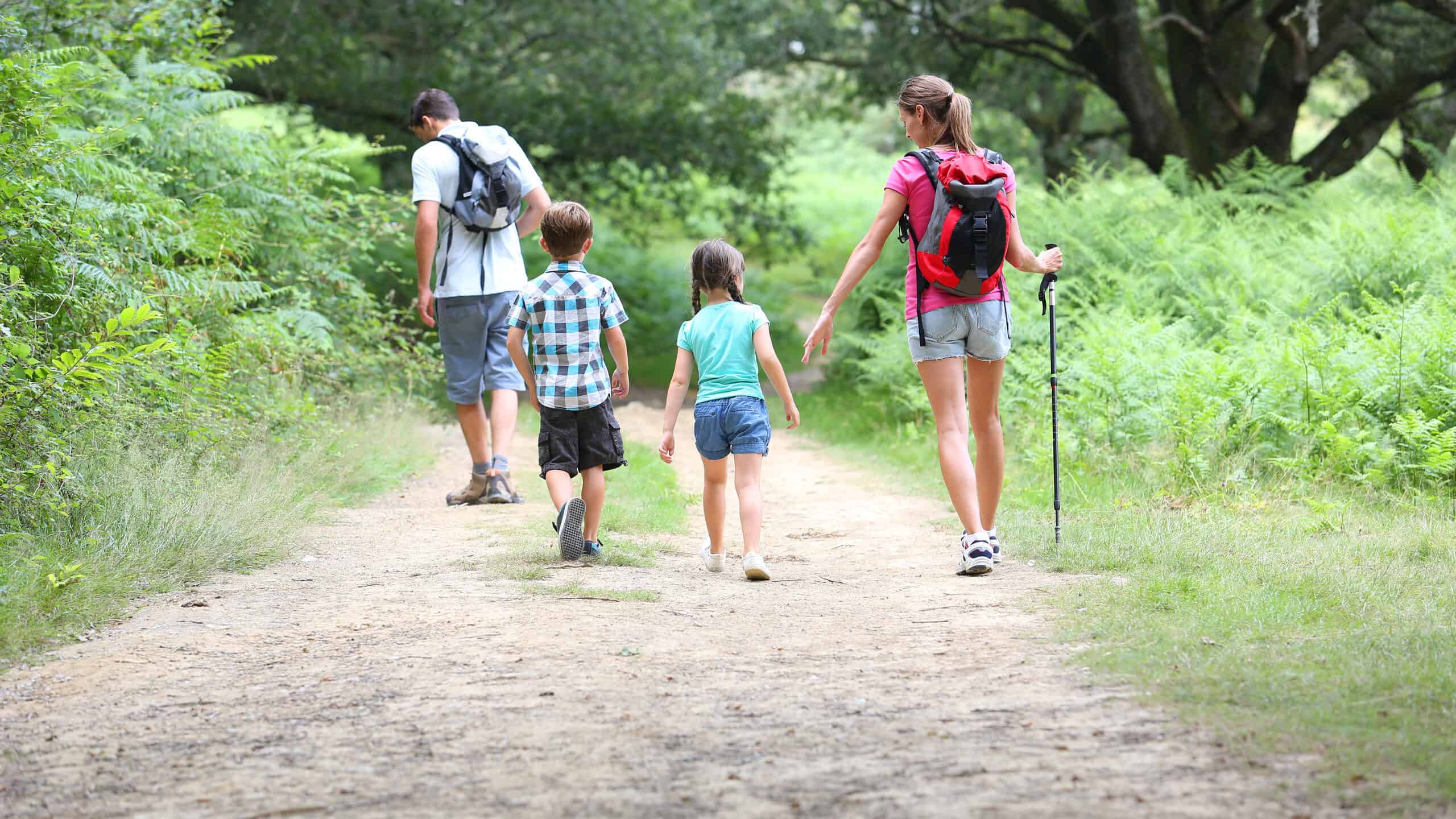 Photograph of a family on a hike. The family is facing away from the camera. Only their backs are visible.The family is light to olive skinned. They are walking on a dirt path. The path is surrounded by greenery. From left to right: a man wearing Knee length light blue shorts and a short sleeve white T-shirt has a knapsack on his back. He has short dark hair next but a little behind him is a little boy who is wearing black kneelength shorts and a black white and aqua plaid short sleeve shirt. Next to him is a little girl in short denim shorts and a jade green short sleeve T-shirt. She has long dark hair that is in braids. Next to her is a tall is woman who is wearing short faded blue denim shorts and a red short sleeve T-shirt. She also has a knapsack on her back. And is holding a aluminum walking pole in her right hand.