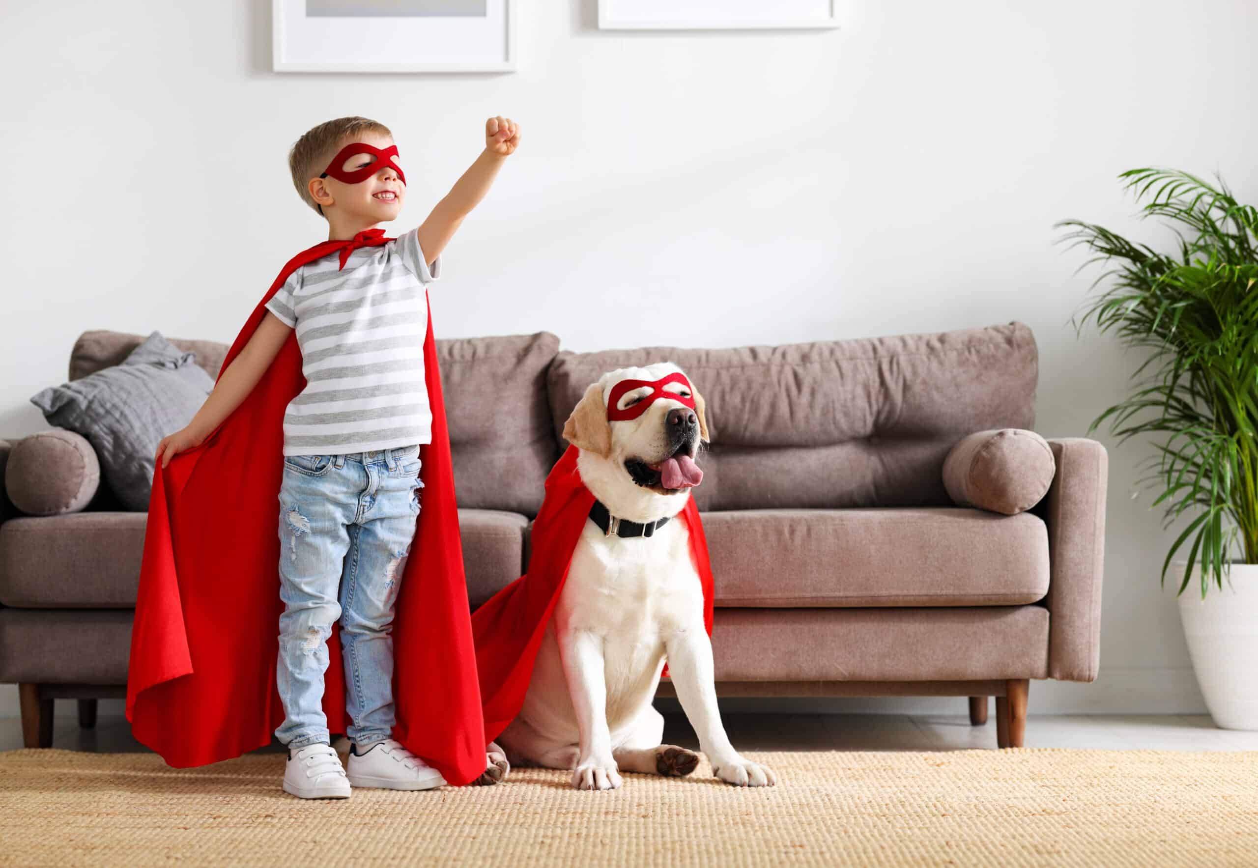 A full body of little boy in a red superhero cloak and mask raises his hand while playing with a funny dog dressed in a similar costume in the living room at home.