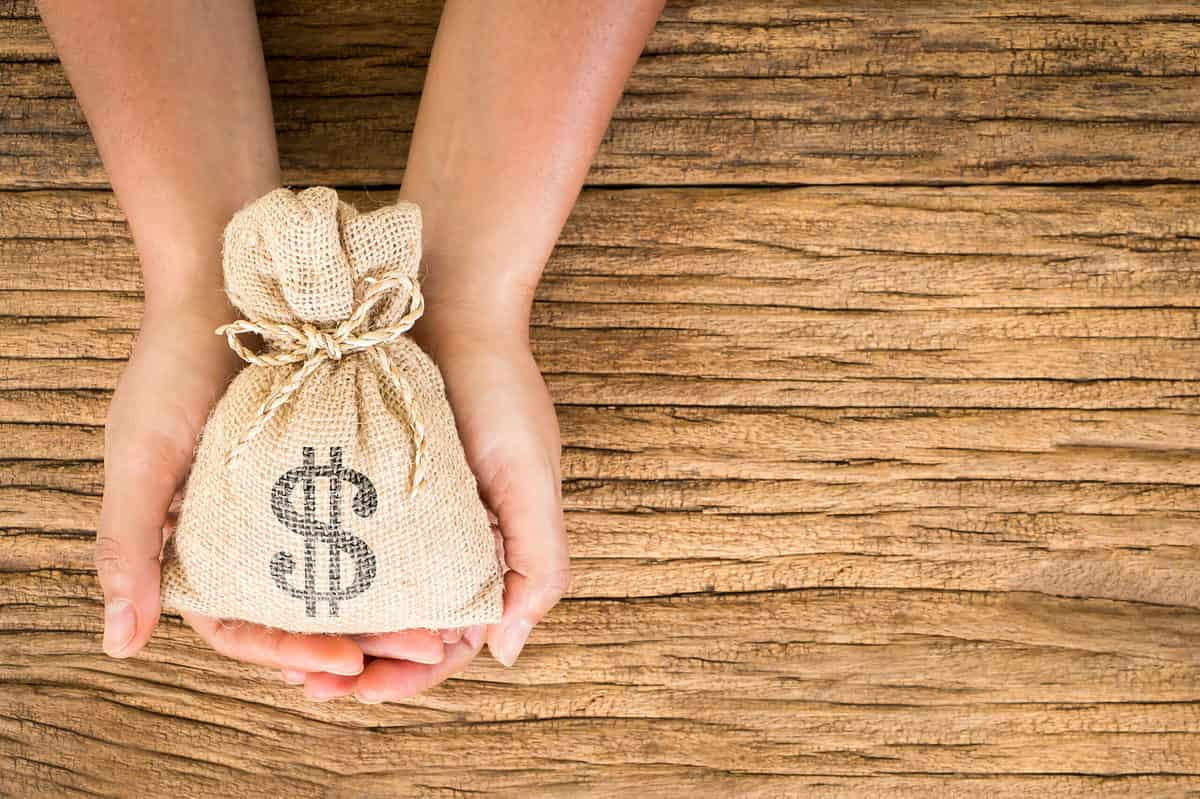 Left Frame: Light-skinned forearms and hands are visible cupping a burlap bag that is tied near the top with a little jute twine bow. On the bag is a black US dollar sign. The background consists of natural wood probably a picnic table.