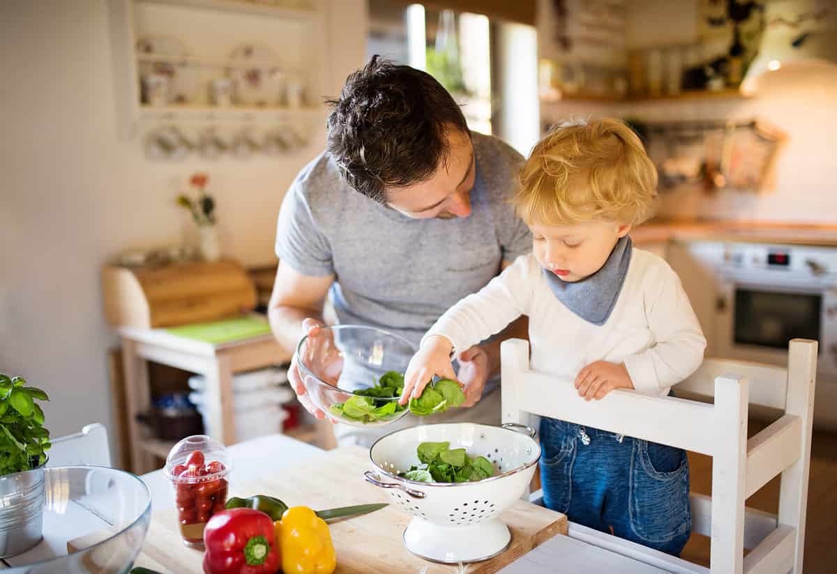 Photograph of a home kitchen. Center frame is a light-skinned young to middle-aged man with dark short hair, Wearing a short sleeved heather gray T-shirt.The top of his head/forehead are facing the camera, as he is focused on his young child who is also light-skinned but has strawberry blonde hair. The young child is wearing denim pants and a long sleeve white T-shirt with a gray to powder blue bandanna tied at the neck. The child’s right hand is putting spinach leaves into a white enamel colander with silver accents. The man is holding a clear glass bowl with spinach in it. In front of the two people on a cutting board are red and yellow peppers and a white plastic cup with grape tomatoes. Very slightly seen in frame left is a basil plant growing in a metal container in front of which is another glass bowl. The background of the photograph is out of focus kitchen accoutrement.