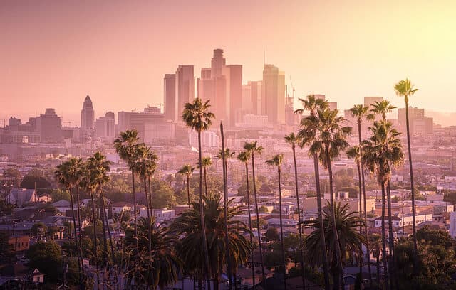 Beautiful sunset of Los Angeles's downtown skyline and palm trees in foreground