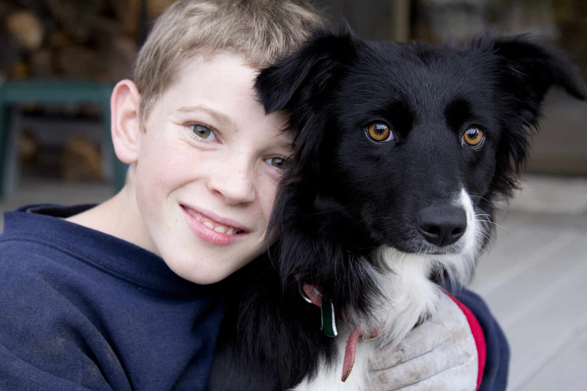 11 Large Dogs That Are Good With Kids 11 large dogs that are good with kids