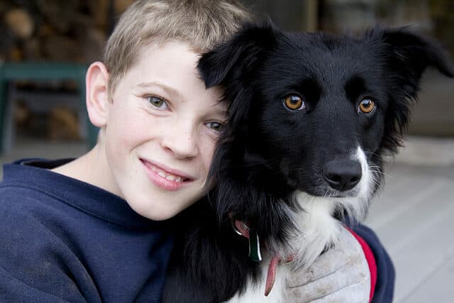 Child hugging border collie