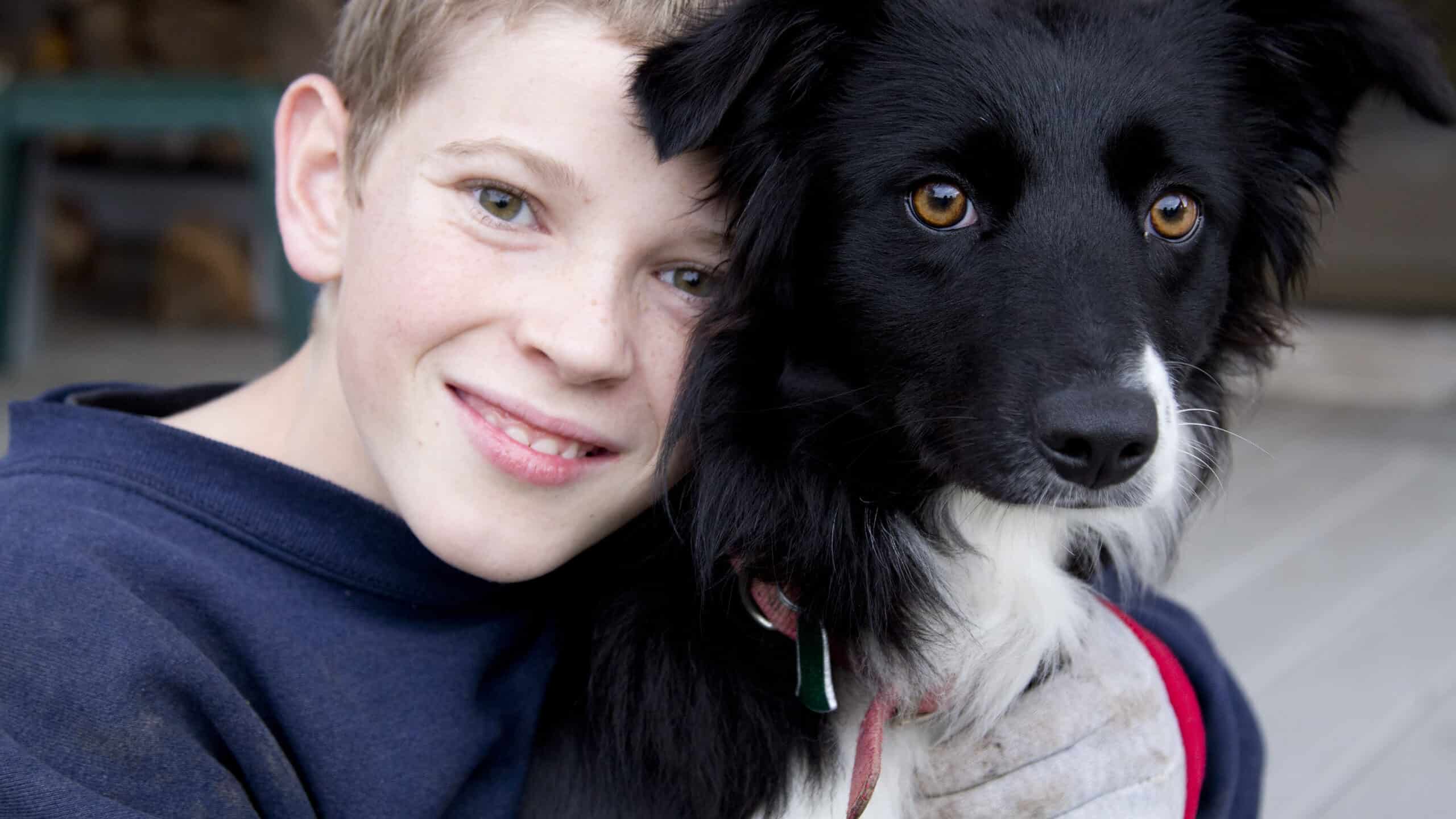 Child hugging border collie