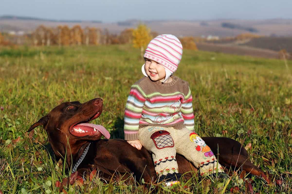 Girl sitting on the Doberman