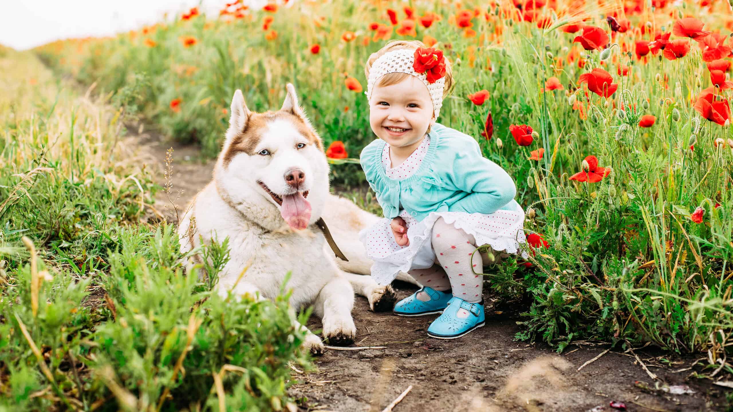 Kid with husky