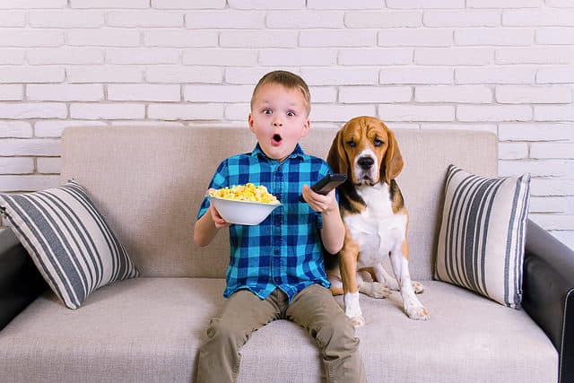 Beagle and Kid eating popcorn