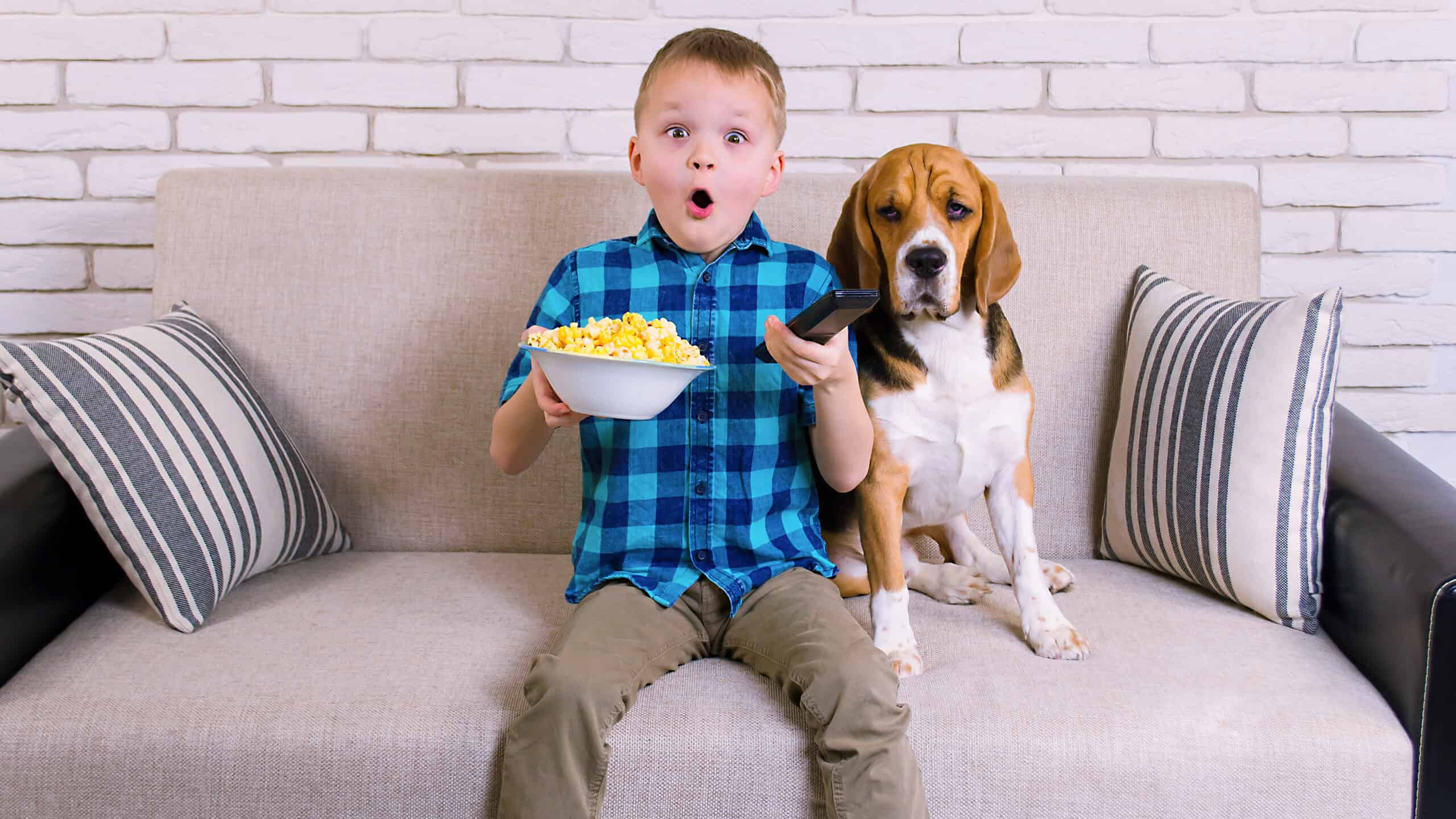 Beagle and Kid eating popcorn