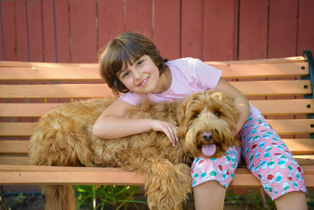 kid with labradoodle