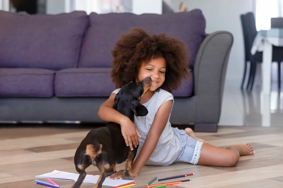 dachshund and kid playing