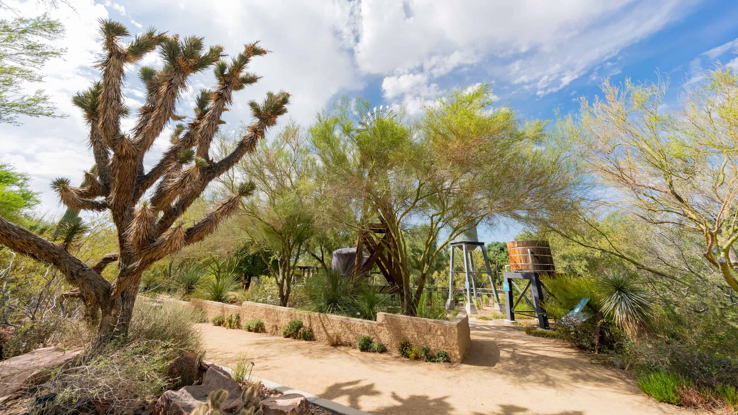 Botanical,Garden,Of,Springs,Preserve,At,Las,Vegas,,Nevada