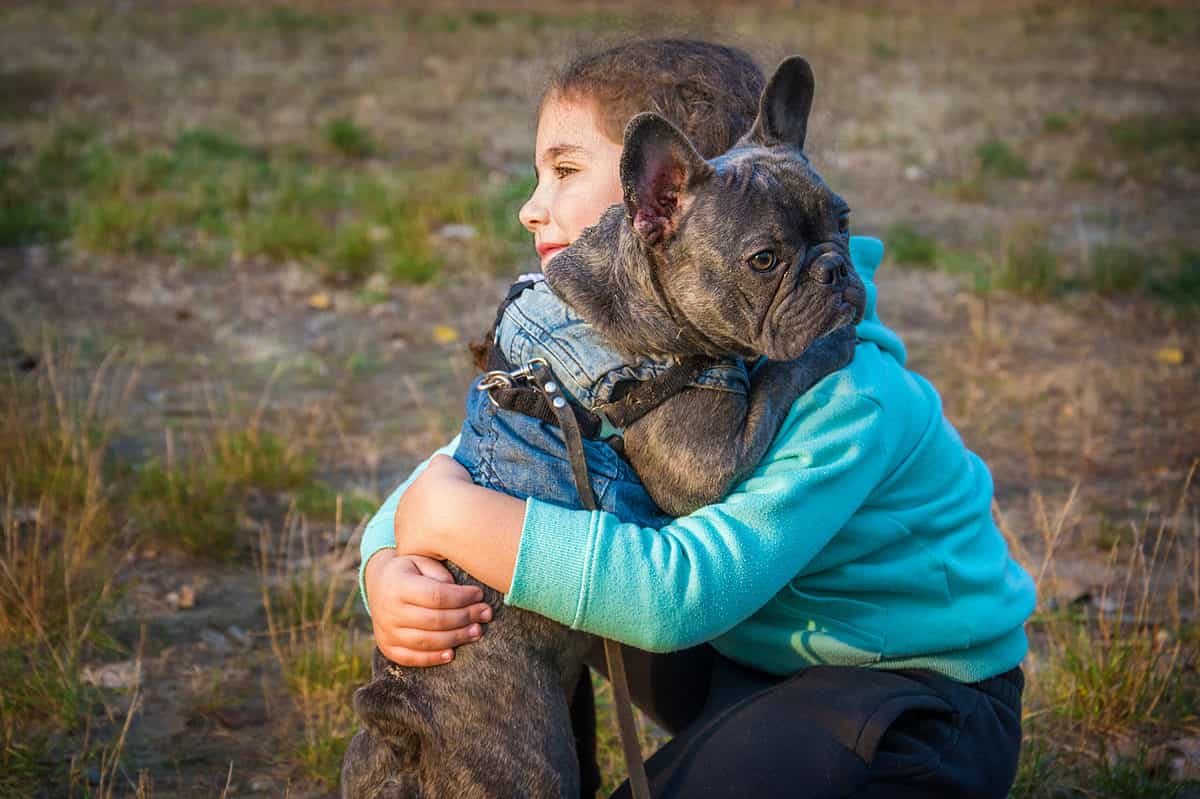 boy hugging French bulldog