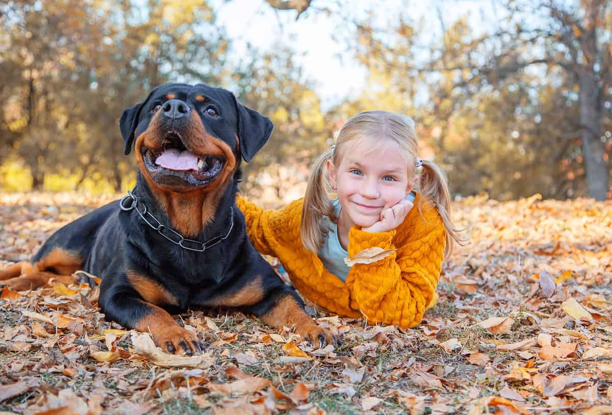 Child with Rottweiler