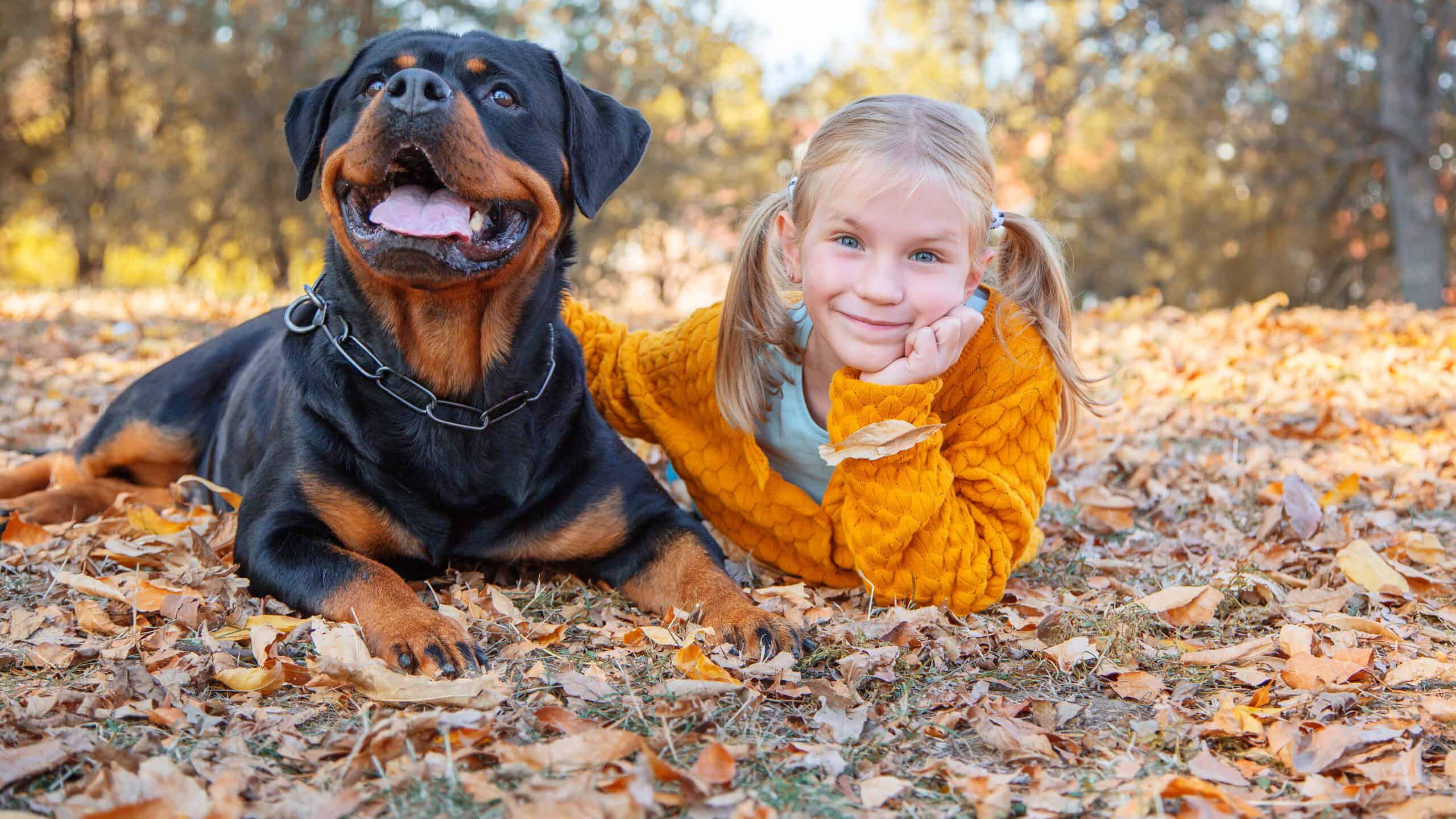 Child with Rottweiler