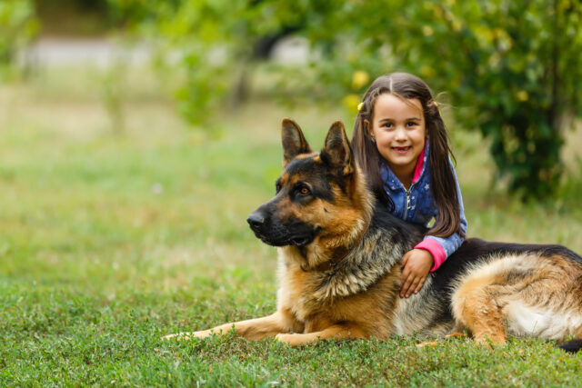 Little girl with German sheoherd