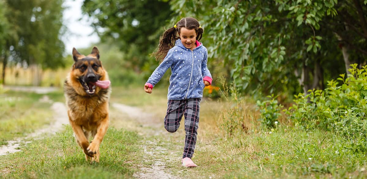 Child running with German shepherd