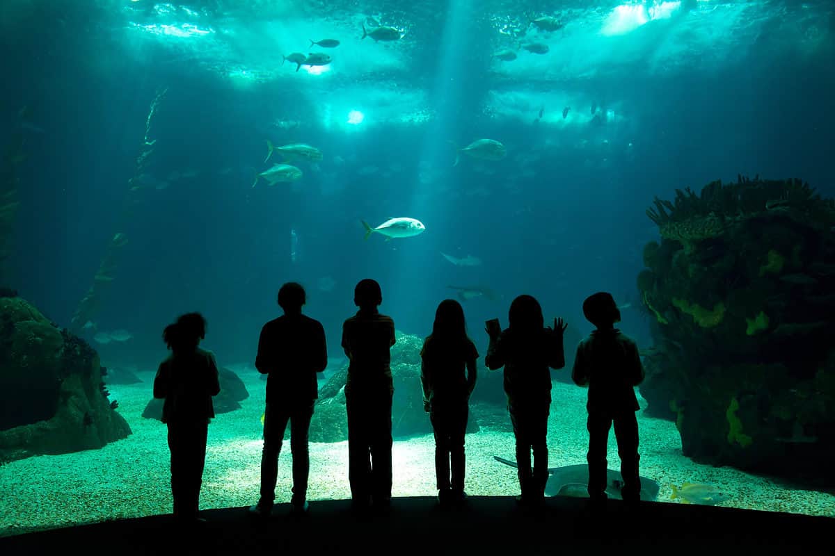 Children in front of aquarium