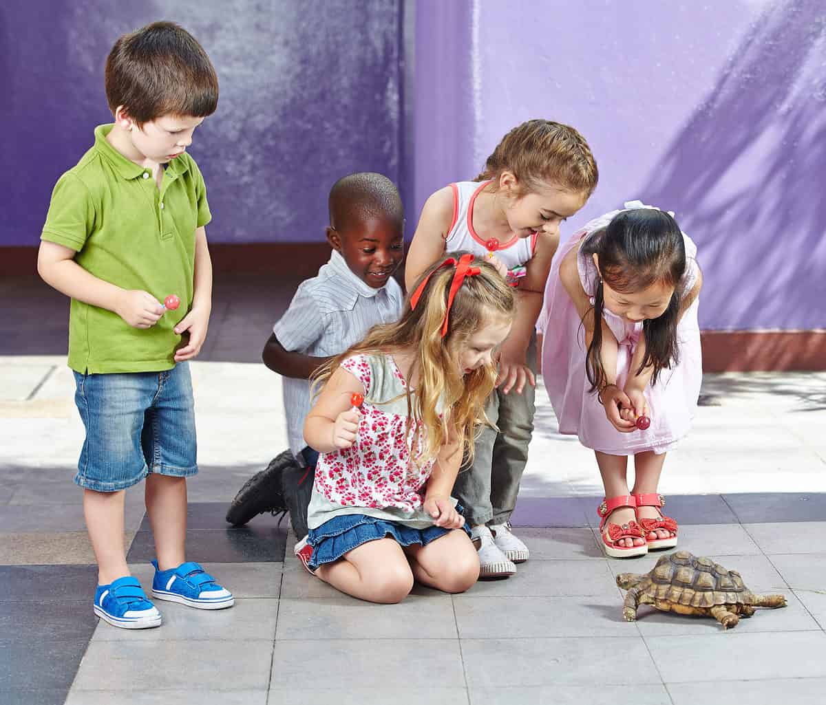 Different kids meeting to observe a turtle