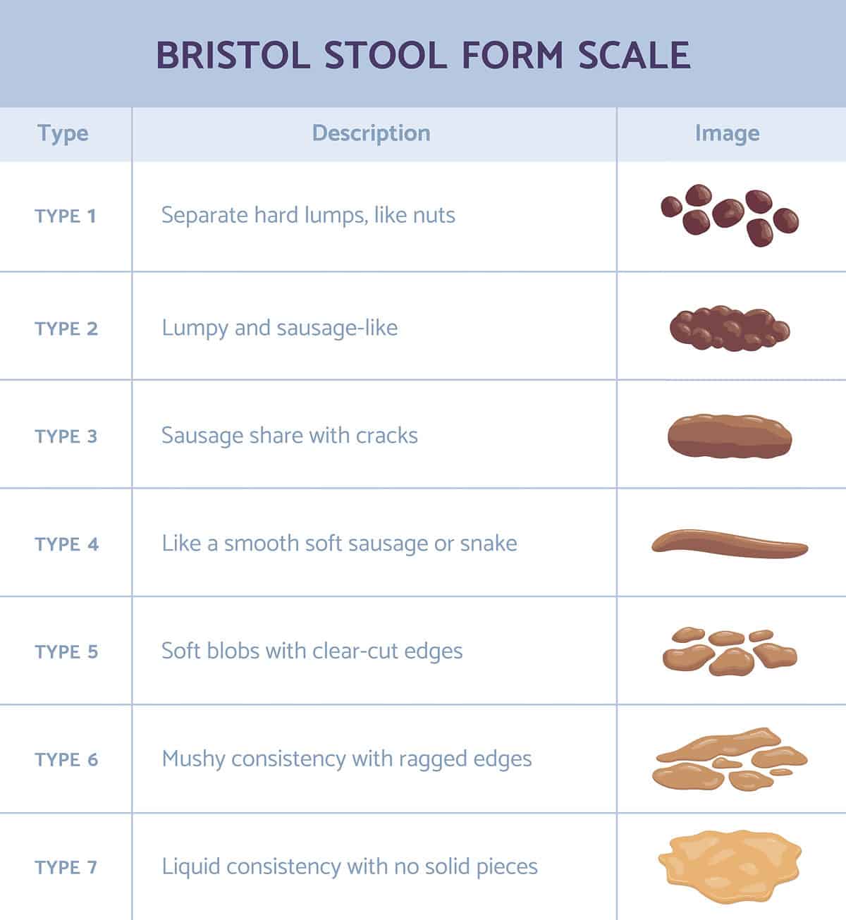 https://www.shutterstock.com/image-vector/bristol-stool-form-scale-infographic-faeces-1962550816