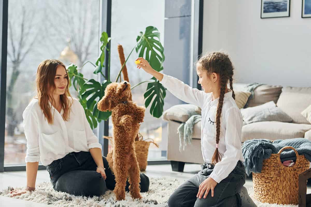 mom, daughter, and poodle