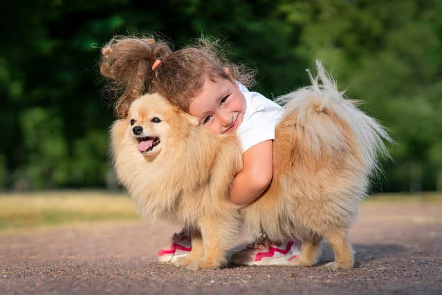 Little girl hugging Pomeranian dog