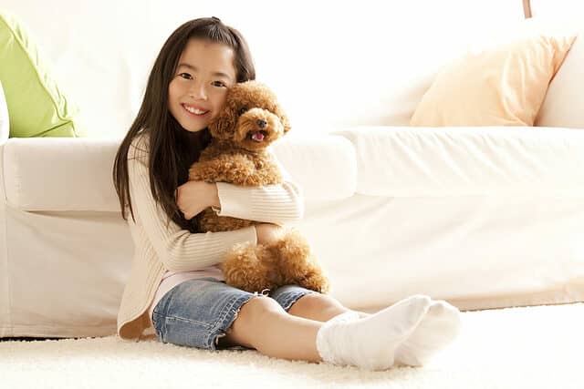 girl hugging a toy poodle