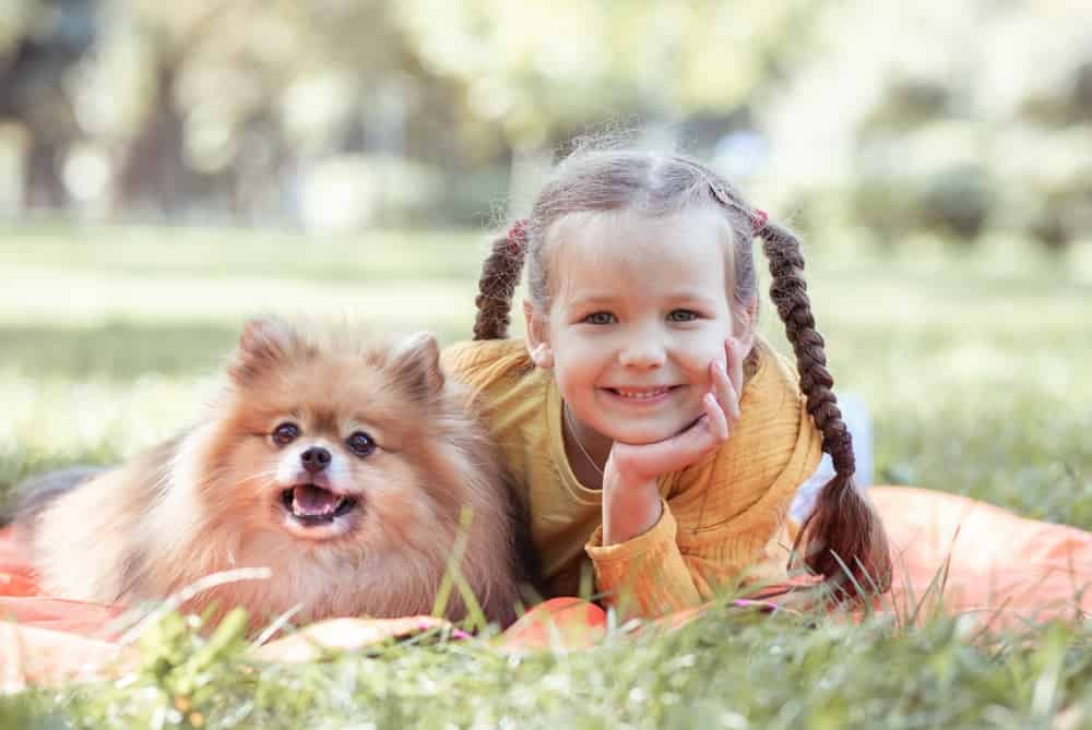 Pomeranian dog with little girl