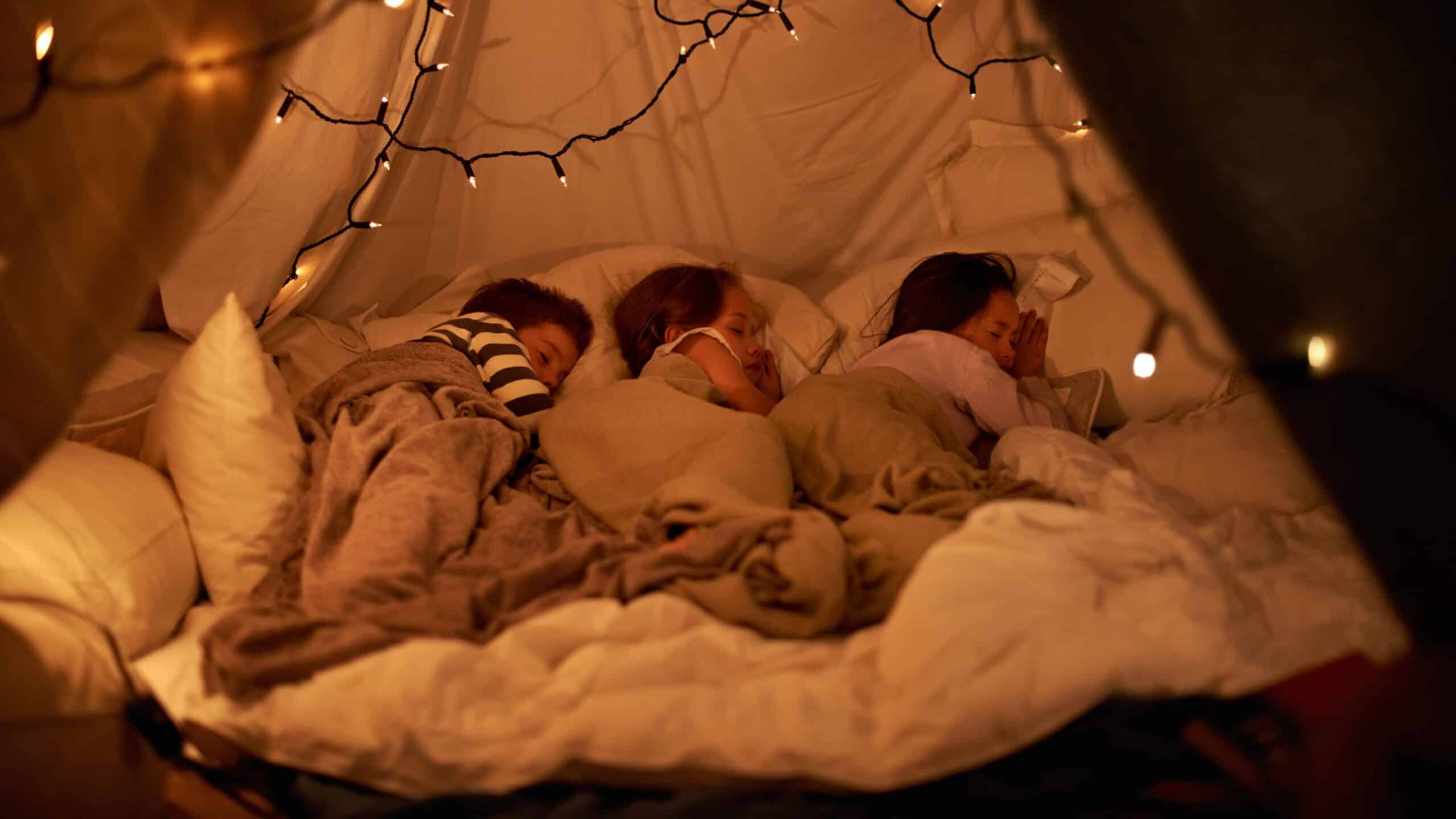 Build a fort