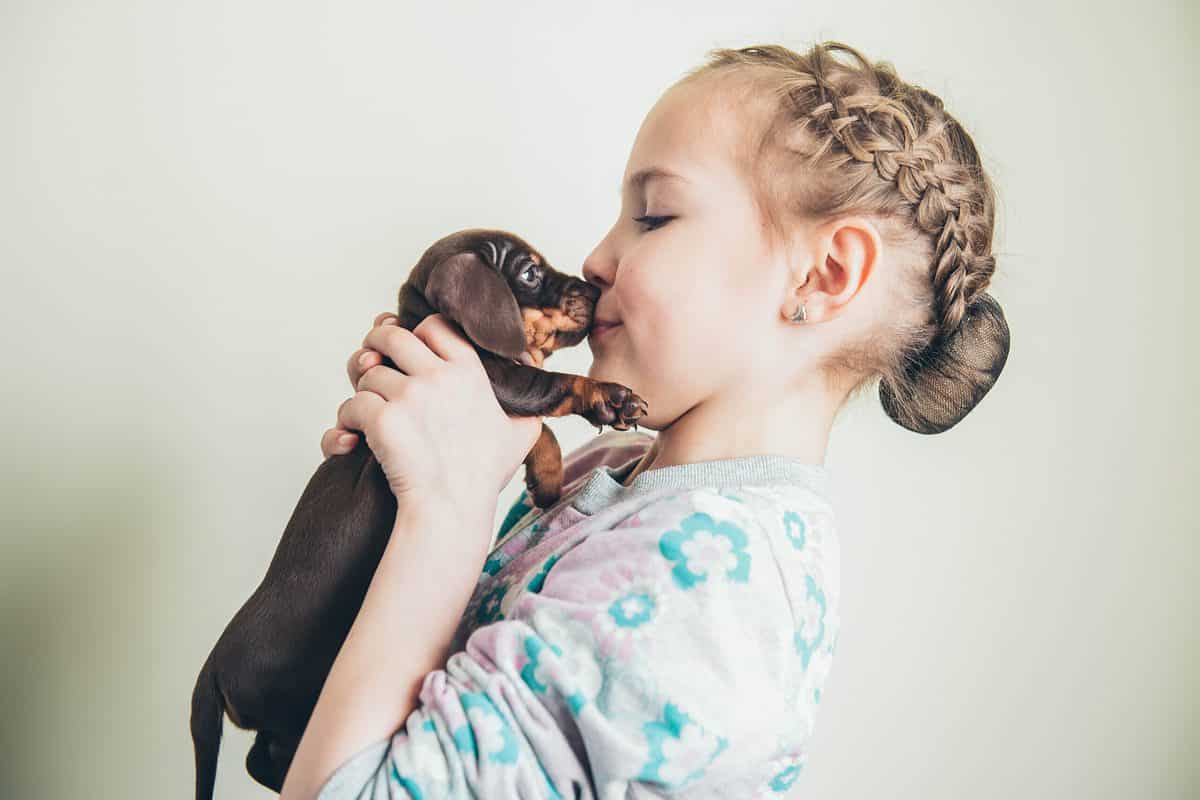 kid kissing a dachshund