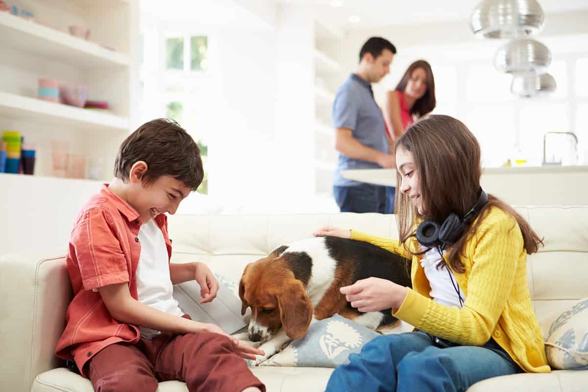 Children playing with a beagle