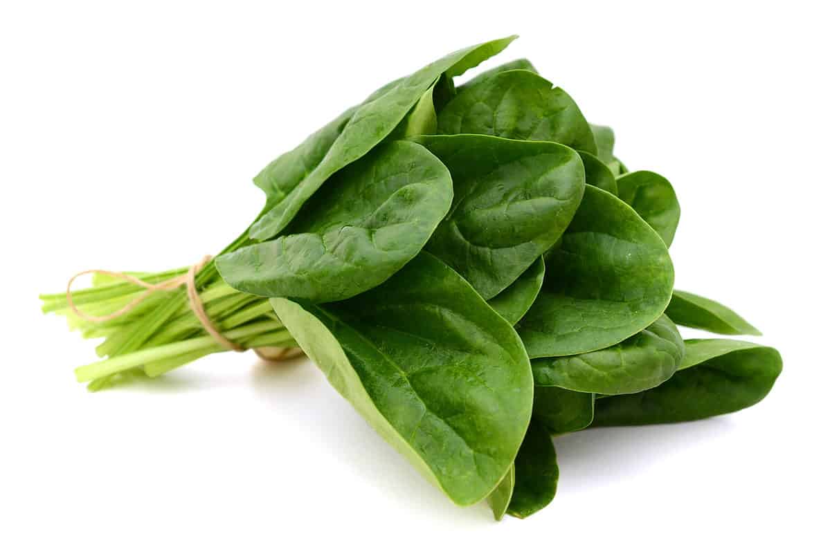A,Bundle,Of,Fresh,Spinach,On,White,Background