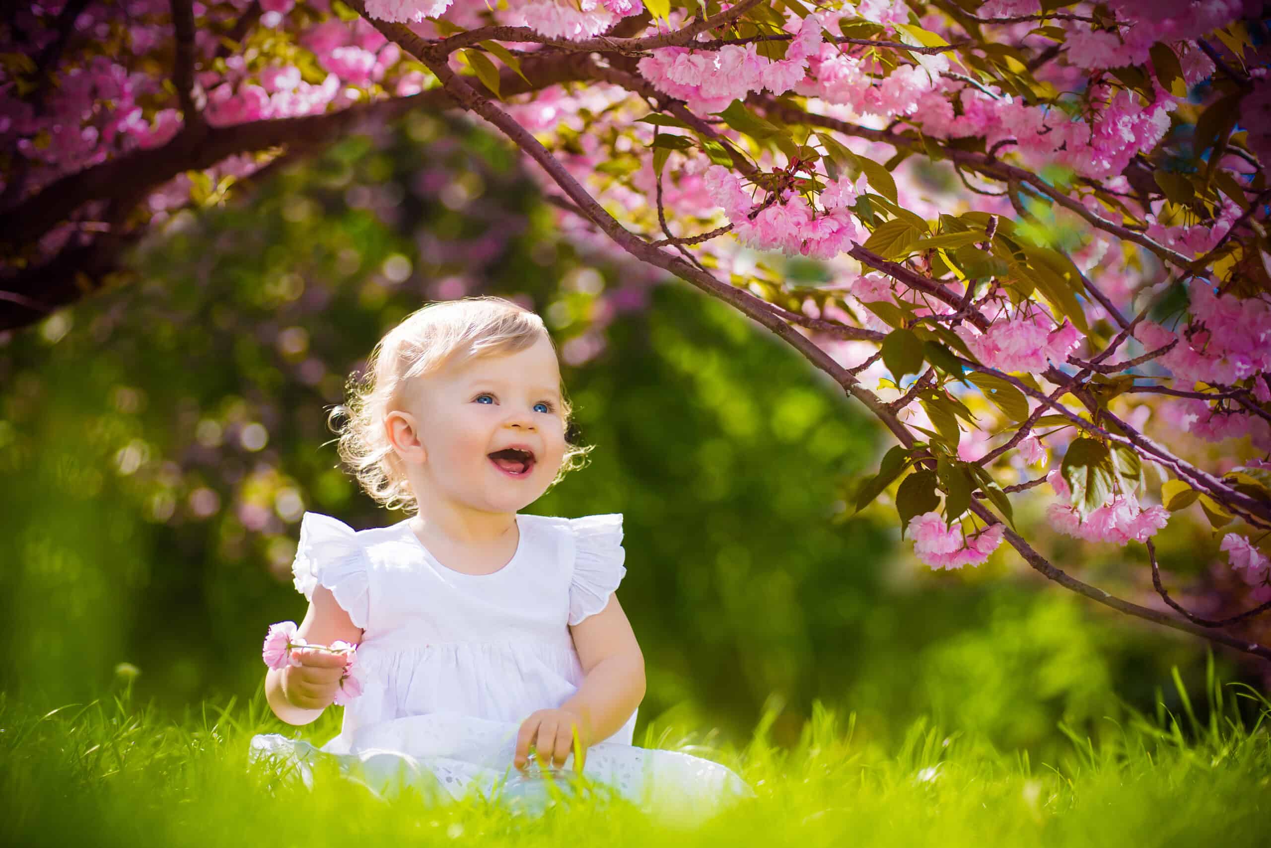 cute adorable nice baby girl in white spring dress smiling sitting under sakura tree