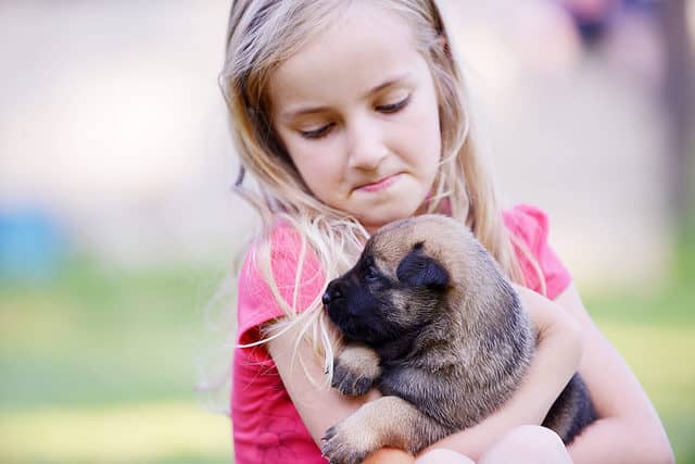 Kid holding Belgian Malinois