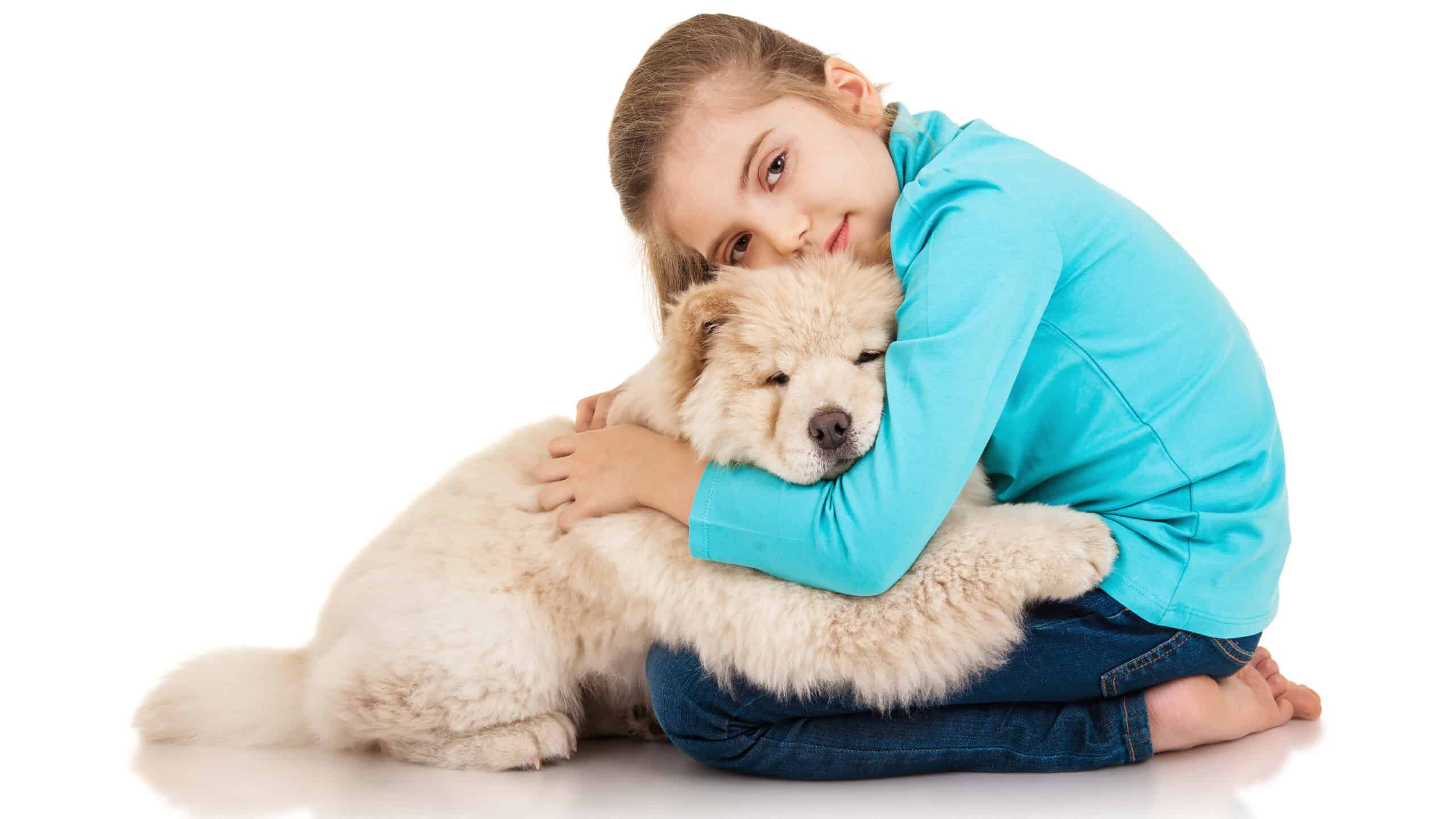 child hugging a chow chow