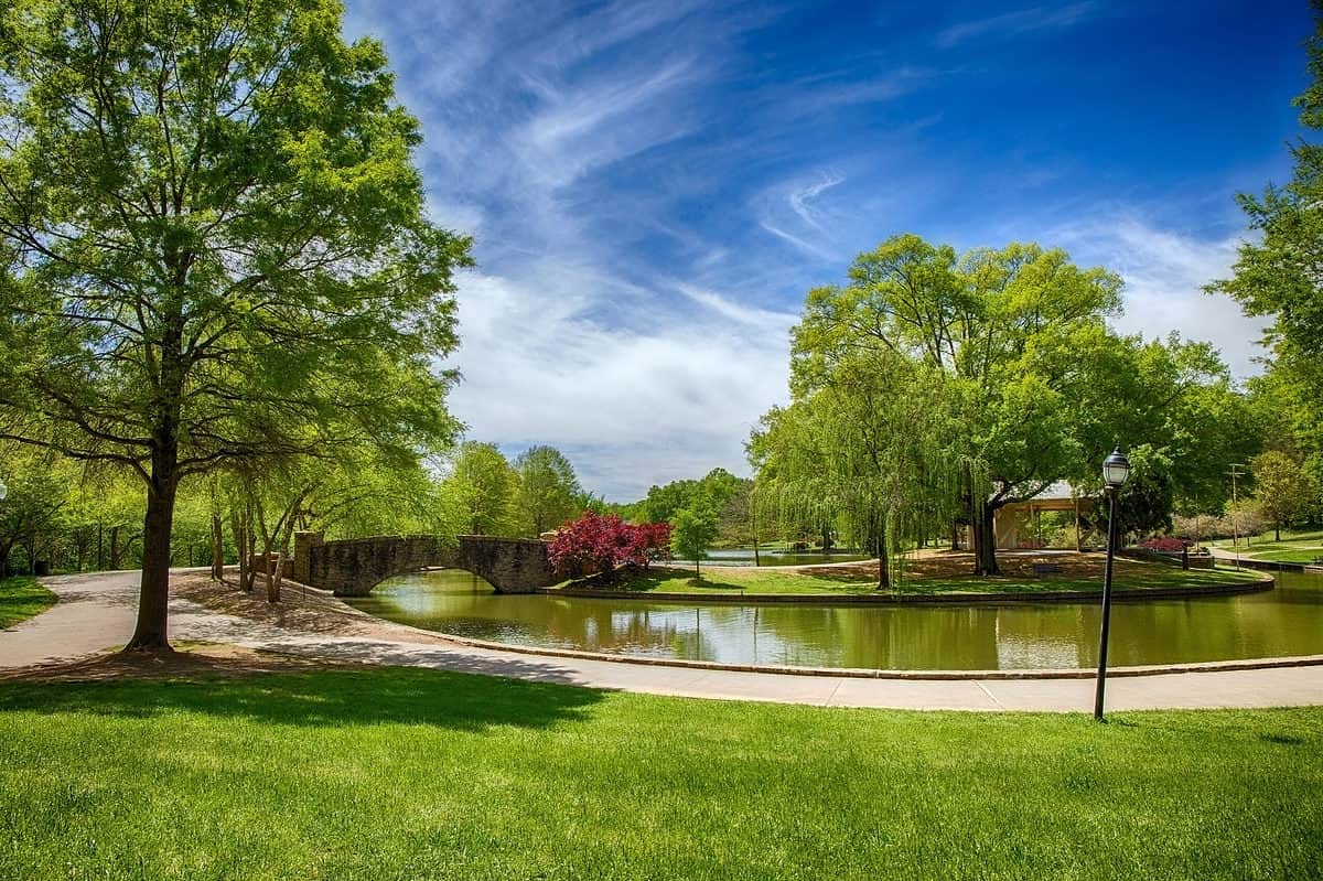 A,Beautiful,Spring,Day,In,Freedom,Park,,Charlotte,Nc