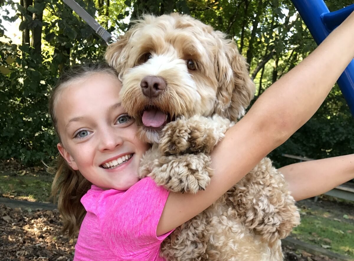 girl hugging labradoodle