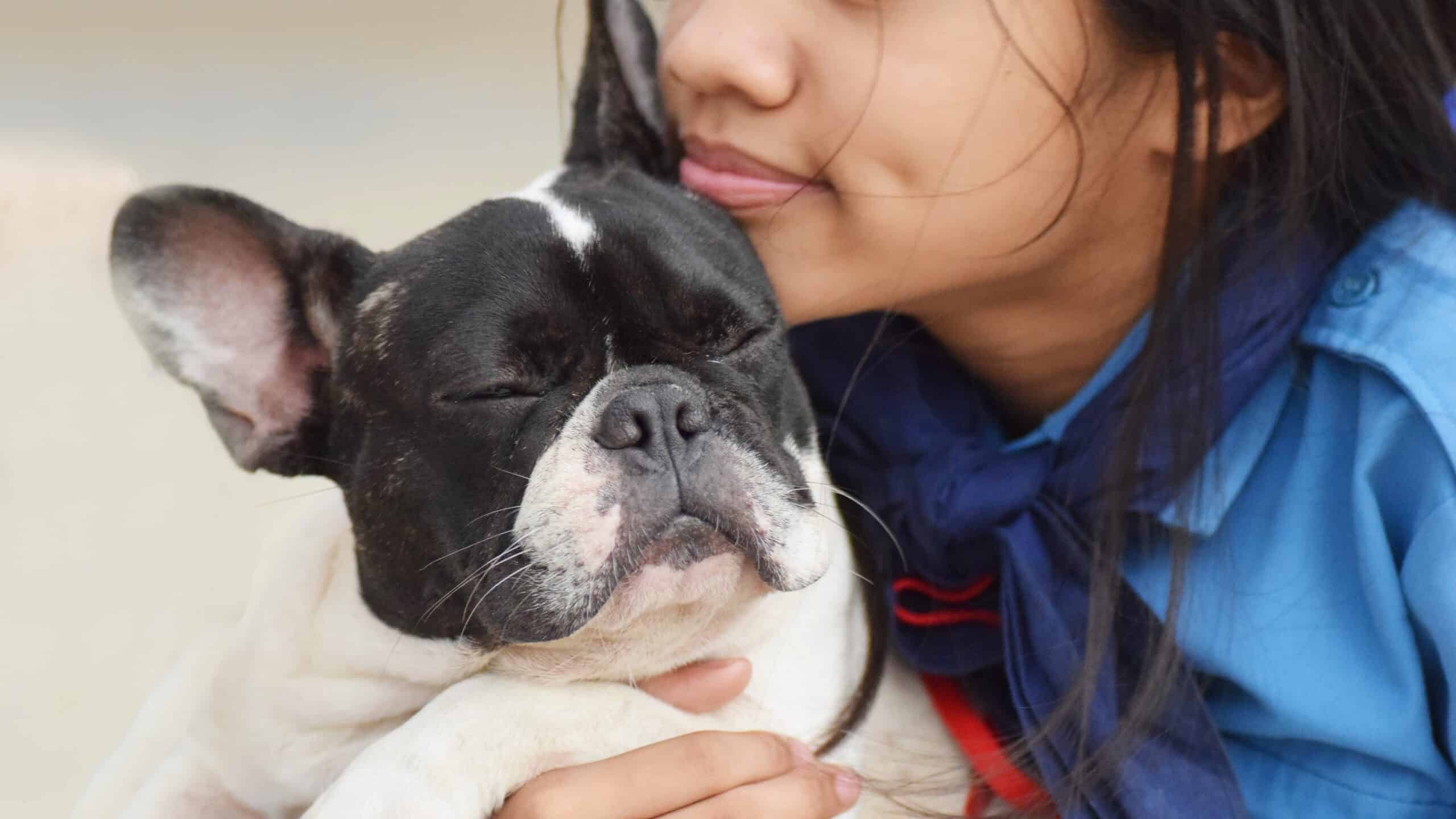 kid and French bulldog