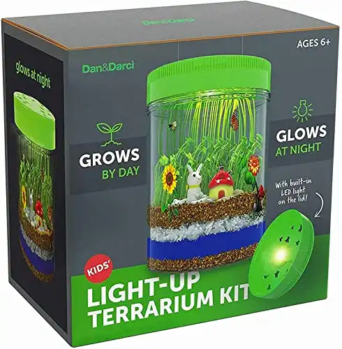 Light-Up Terrarium Kit for Kids