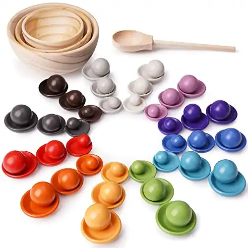 TENGZHEN Montessori Balls in Dishes Toy