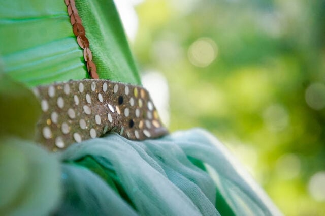 Child's tinkerbell dress