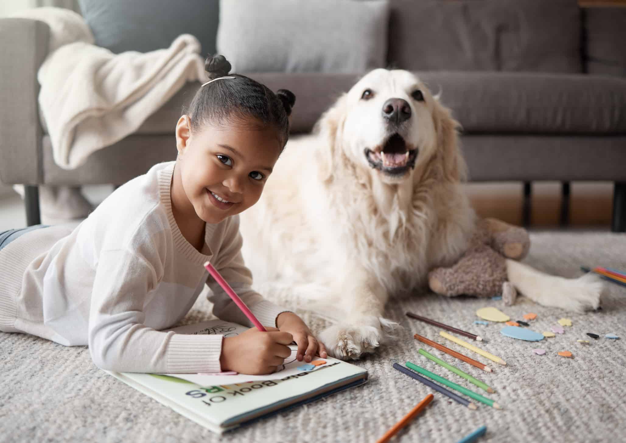 Sweet little mixed race child doing her homework while lying on the living room carpet with her puppy. Child colouring while bonding with her emotional  support rescue dog