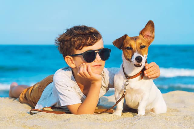 Jack Russell with Kid