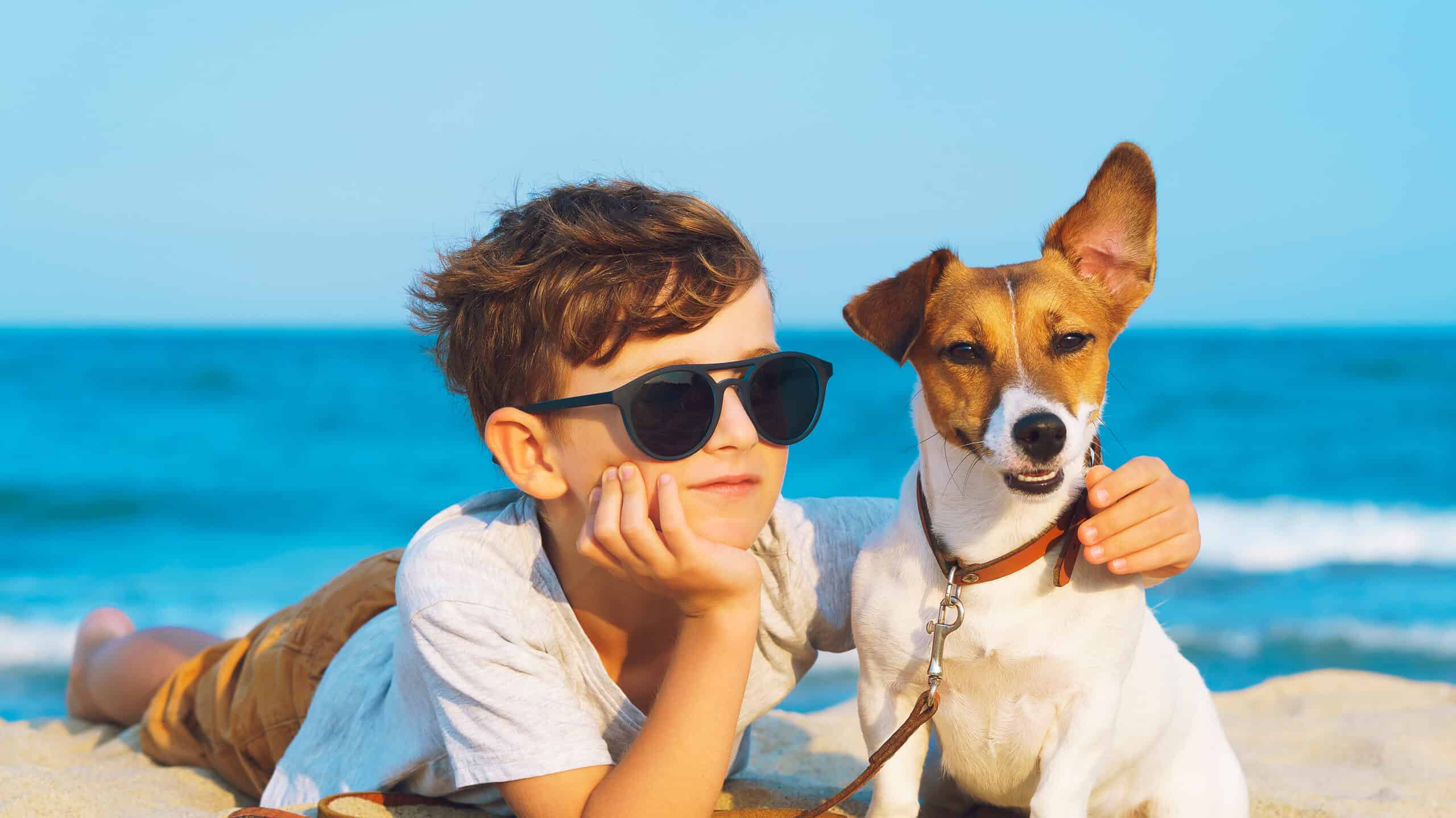 Jack Russell with Kid