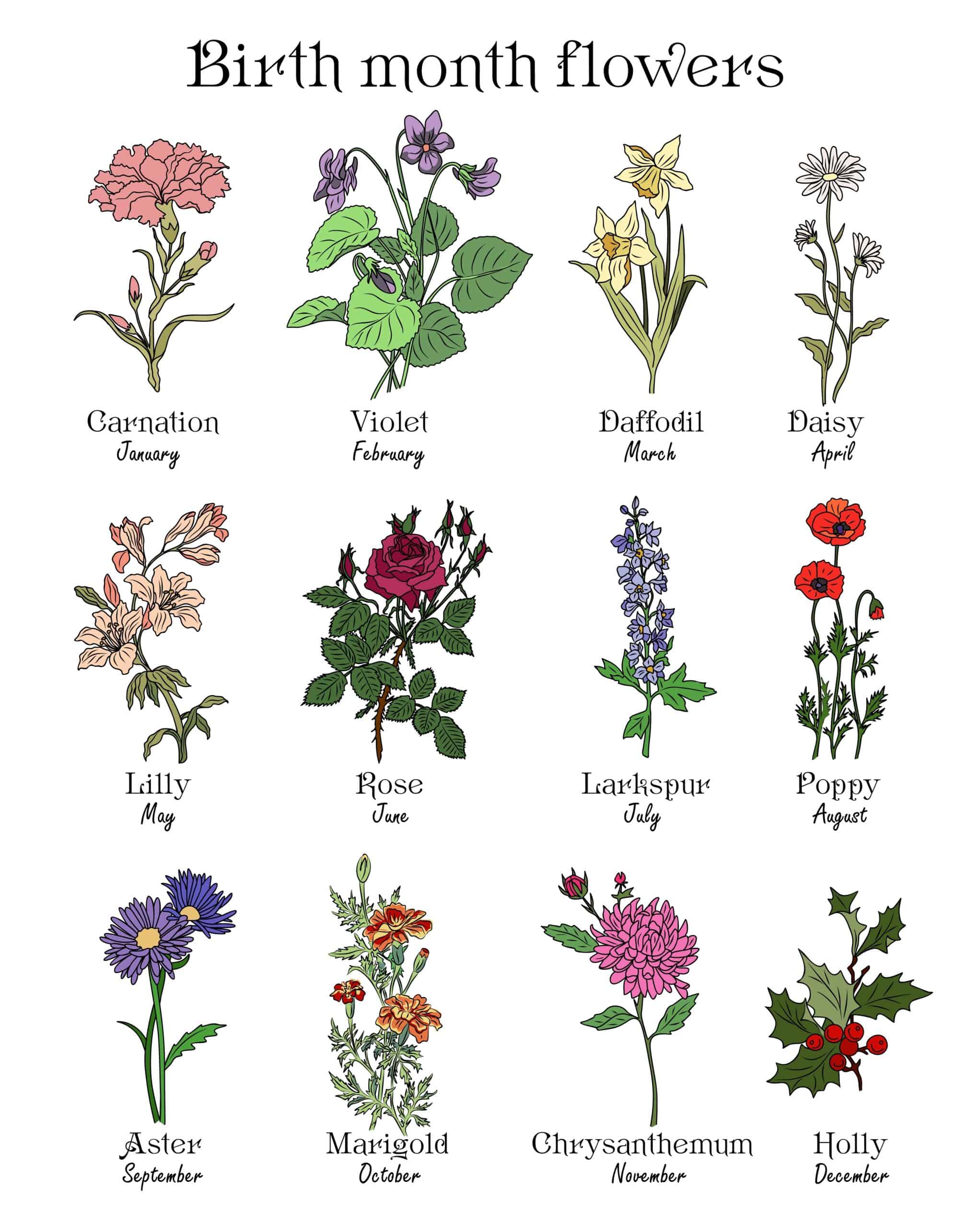 August Flower Of The Month Birth Flowers