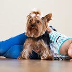 A Note on Dogs and Young Children